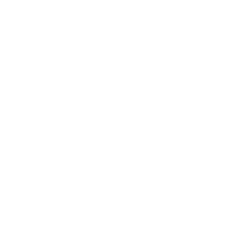 NuLace